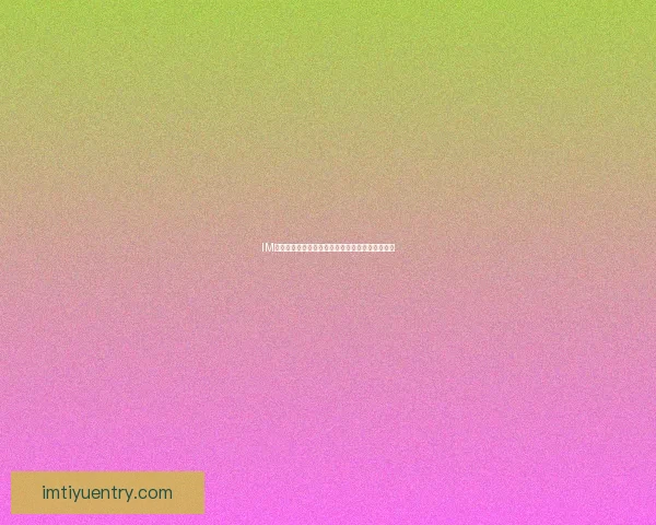 IM体育下注全流程详解与新手快速上手投注技巧指南