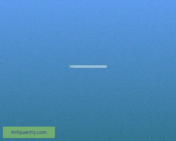 IM体育平台是否合法可信？用户体验与安全性全面分析