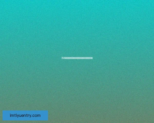 IM体育下注全流程详解与新手快速上手投注技巧指南