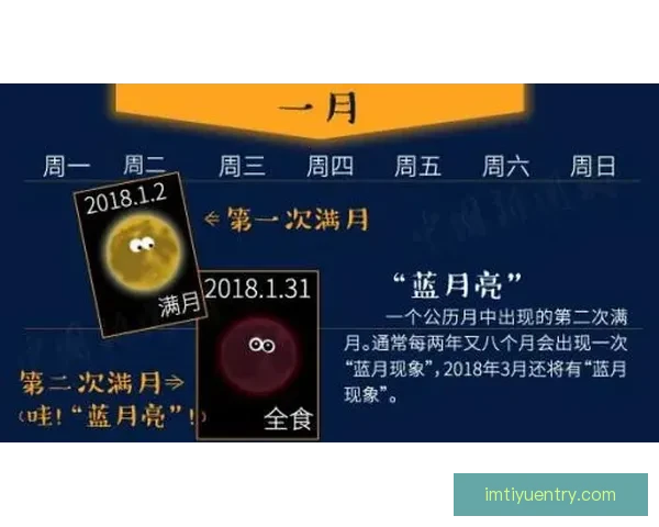 世界杯竞猜投注新玩法解析如何科学提升投注技巧与获胜概率